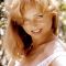 Yvette Vickers Photo