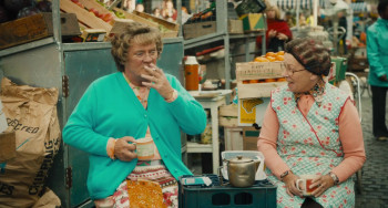 Mrs. Brown's Boys D'Movie (2014) download