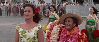 Blue Hawaii (1961) download