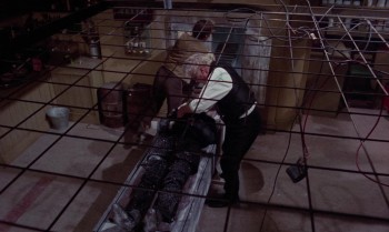 Frankenstein Created Woman (1967) download