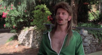 Joe Dirt (2001) download