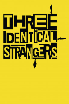 Three Identical Strangers (2018) download