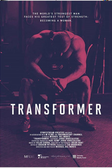 Transformer (2017) download